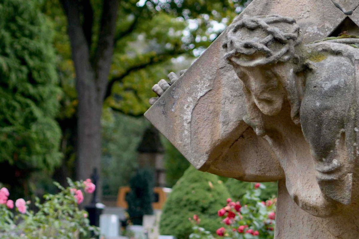 Es Lebe Der Zentralfriedhof - Zentralfriedhof Münster